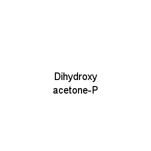 Dihydroxy acetone-P